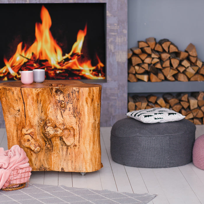 Choosing the Right Wood Burning Stove: Size, Style, and Efficiency